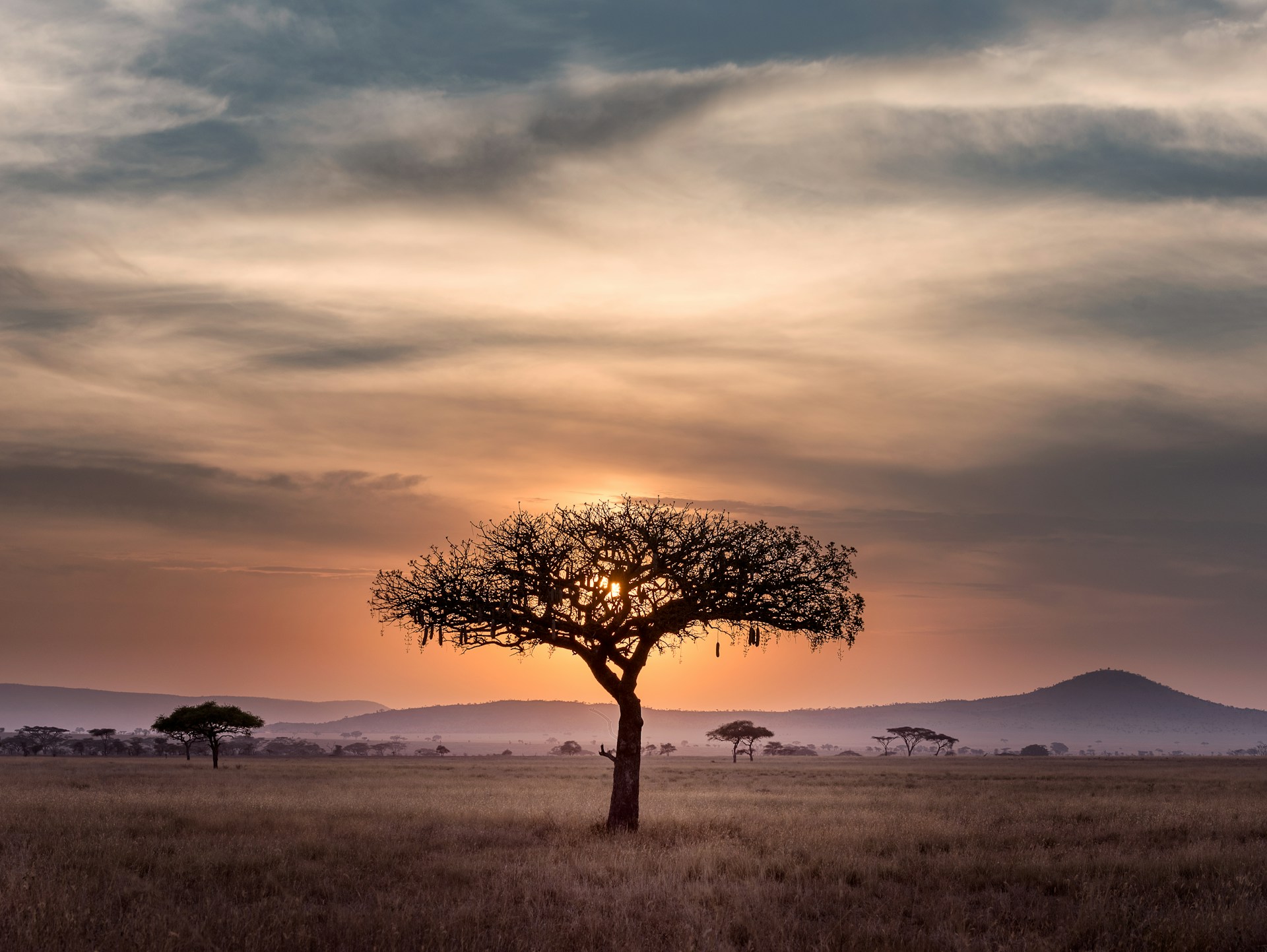 Afrique sunset